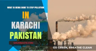 Karachi's War on Pollution: Strategies and Solutions
