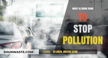 Combating Pollution: Current Initiatives and Their Impact
