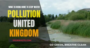 UK's Water Warriors: Initiatives to Combat Pollution