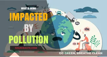 Pollution's Impact: Our World, Our Future