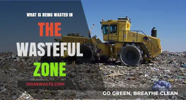Unveiling the Wasteful Zone: What Resources Are We Squandering?