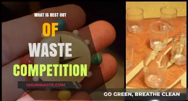 Transforming Trash to Treasure: The Best Out of Waste Competition
