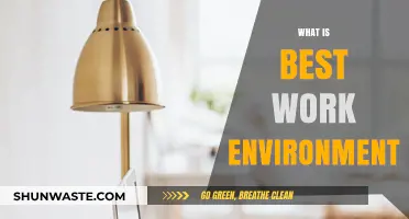 Crafting the Ideal Work Environment: Key Factors for Success and Satisfaction