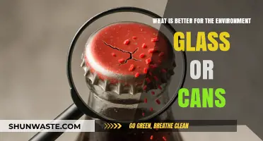 Glass vs. Cans: Which Packaging Choice Benefits the Environment More?