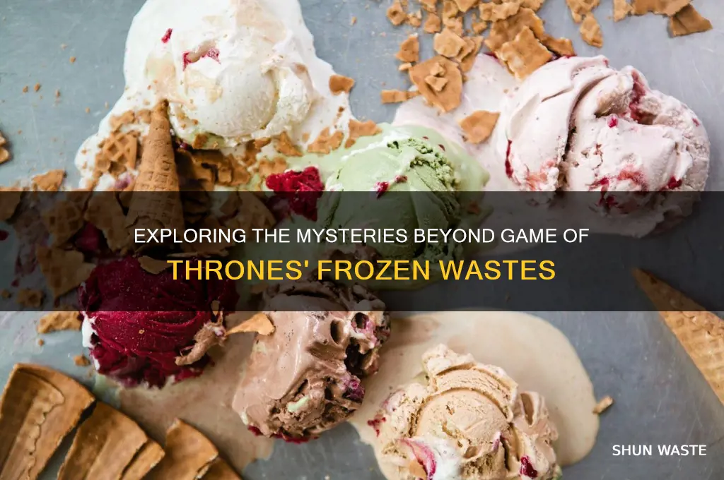 what is beyond the frozen wastes game of thrones