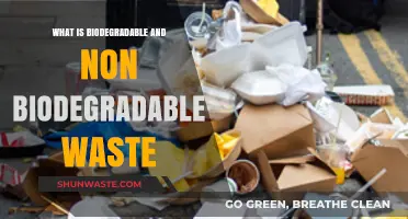 Understanding Biodegradable vs. Non-Biodegradable Waste: A Comprehensive Guide