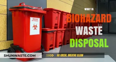 Safeguarding the Environment: A Guide to Biohazard Waste Disposal