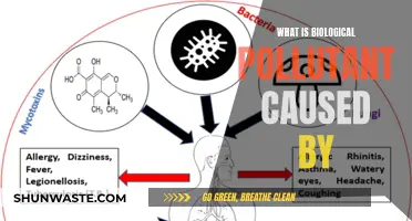 Unveiling the Hidden Dangers: Understanding Biological Pollutants and Their Origins