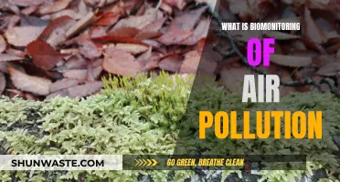 Air Pollution: Biomonitoring for a Greener Future