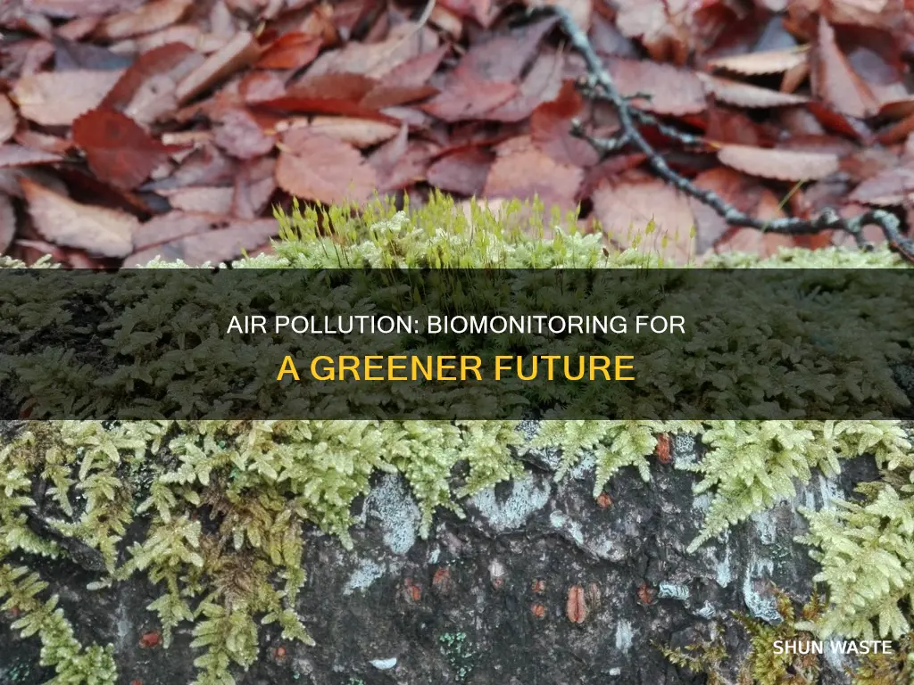 what is biomonitoring of air pollution