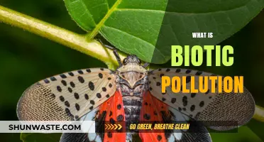 The Dark Side of Biotic Pollution