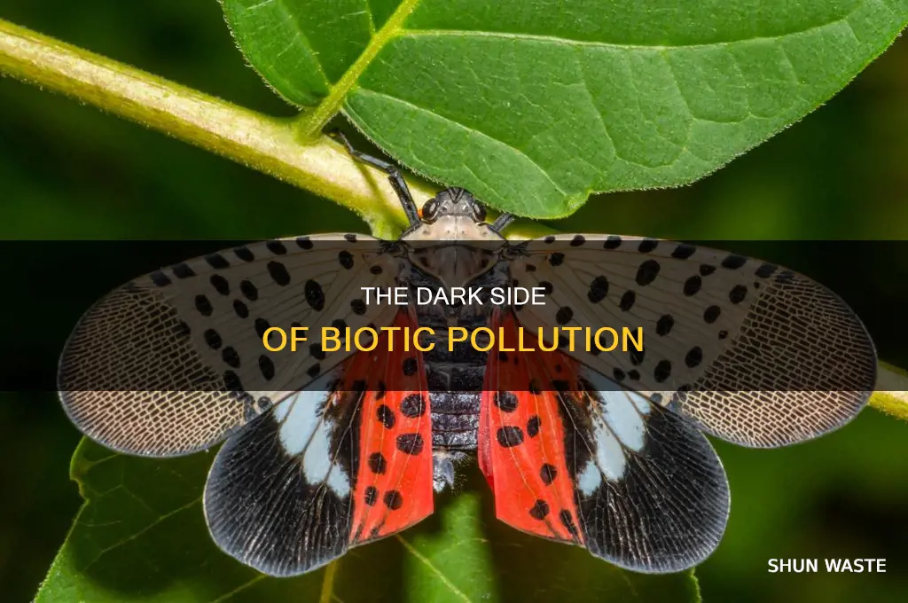 what is biotic pollution