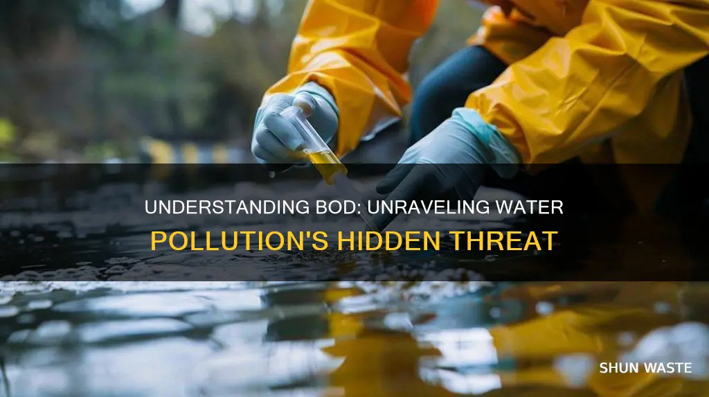 what is bod in water pollution