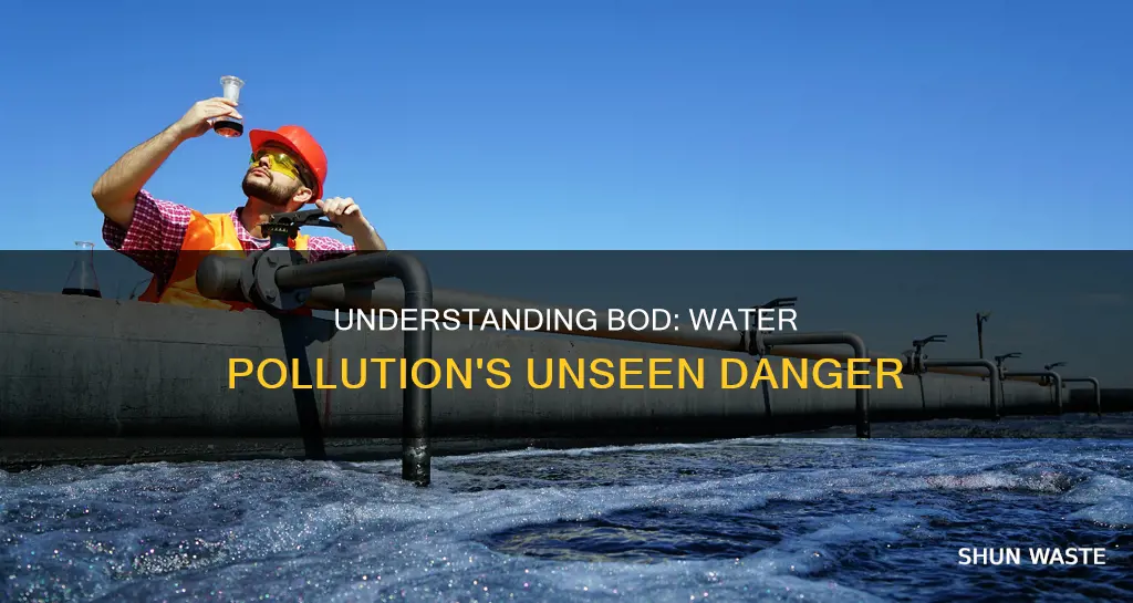 what is bod in water pollution