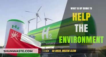 BP's Green Initiatives: Environmental Efforts and Sustainability Strategies Explained