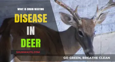 Understanding Chronic Wasting Disease: A Growing Threat to Deer Populations