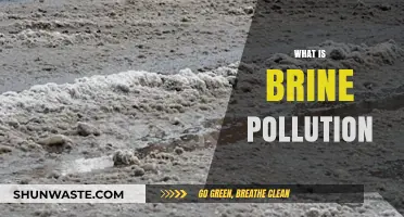 Brine Pollution: Understanding Its Impact and Causes