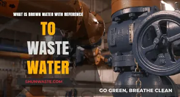 Understanding Brown Water: Causes, Risks, and Wastewater Treatment Solutions