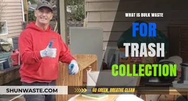 Understanding Bulk Waste: Trash Collection Guidelines and Disposal Tips
