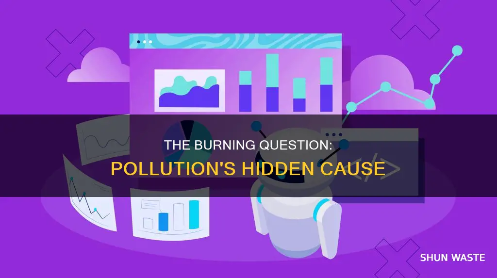 what is burn that causes pollution