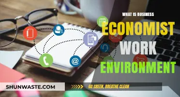 Exploring the Dynamic Work Environment of a Business Economist