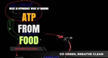 Exploring the Hidden Costs: Byproduct Waste in ATP Production from Food