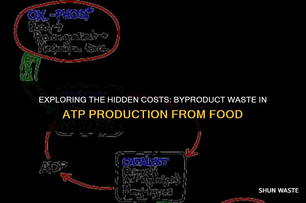 what is byproduct wast of making atp from food