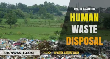 Understanding Human Waste Disposal: A Comprehensive Guide