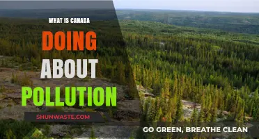 Canada's Green Revolution: Combating Pollution with Innovation