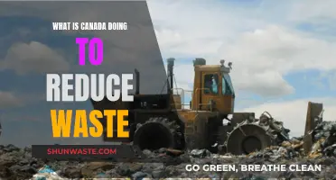 Sustainable Steps: Canada's Efforts to Minimize Waste and Promote Recycling