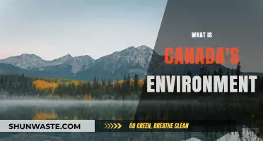 Exploring Canada's Diverse Environment: Landscapes, Wildlife, and Climate