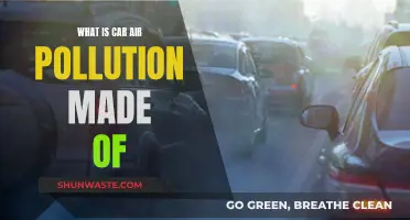 Air Pollution: What's Coming Out of Car Exhausts?