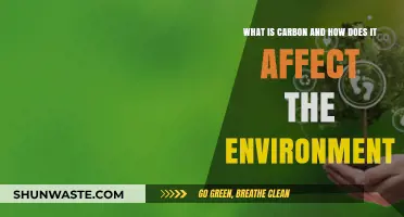 Understanding Carbon's Role and Its Environmental Impact: A Comprehensive Guide