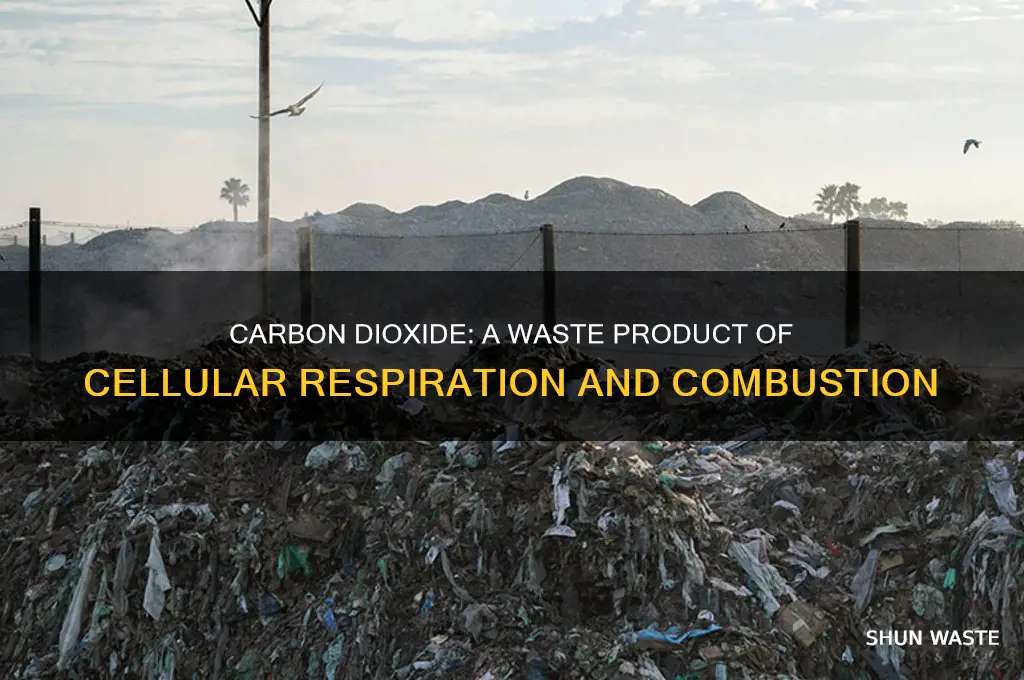 what is carbon dioxide a waste product of