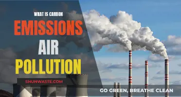 Air Pollution: Carbon Emissions Explained