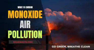 Carbon Monoxide: A Silent, Deadly Air Pollutant