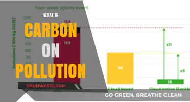 Carbon Pollution: Its Impact and Our Future