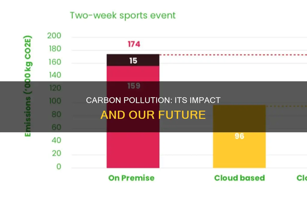 what is carbon on pollution