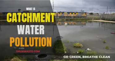 Understanding Catchment Water Pollution: Causes and Solutions