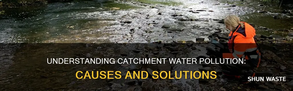 what is catchment water pollution