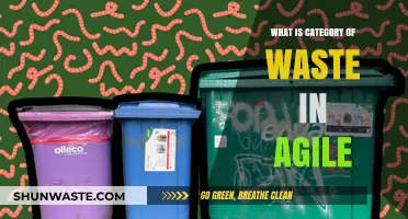 Understanding Waste Categories in Agile: Enhancing Efficiency and Value Delivery