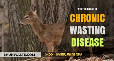 Unraveling Chronic Wasting Disease: Causes and Impact on Wildlife Populations