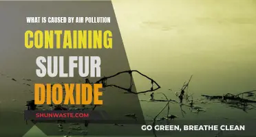 Air Pollution: Sulfur Dioxide's Impact Revealed
