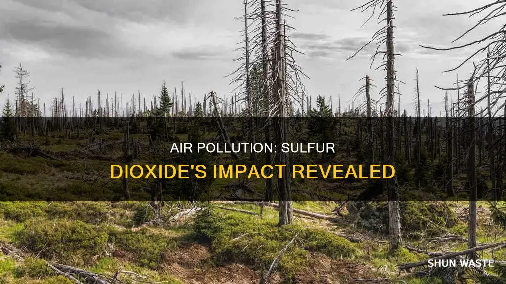 what is caused by air pollution containing sulfur dioxide