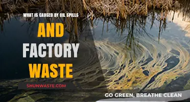 Oil Spills and Factory Waste: Devastating Environmental Impacts Explained