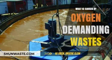 Oxygen-Demanding Wastes: Causes, Impacts, and Environmental Consequences Explained