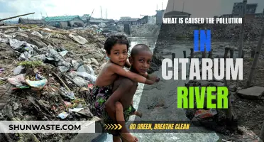 Unveiling the Sources: Why Citarum River Faces Pollution Crisis