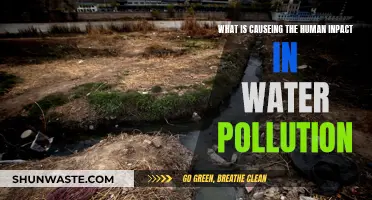 Human Impact: Unraveling the Causes of Water Pollution