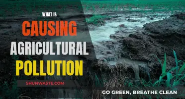 Agricultural Pollution: Sources, Impact, and Solutions