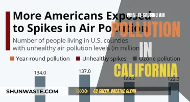 Unveiling California's Air Pollution Crisis: Sources and Solutions